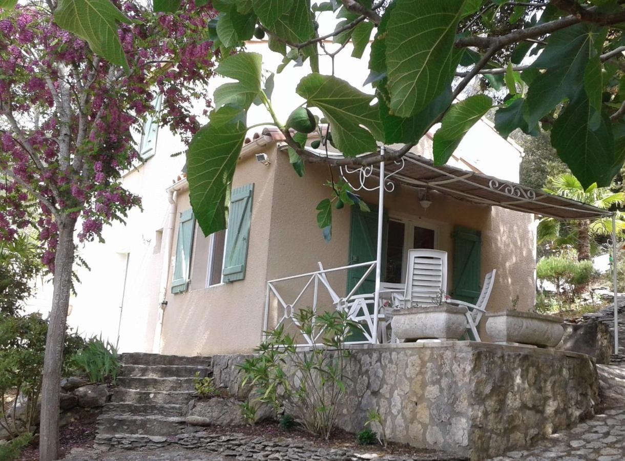 Gite Sud de France-Carcassonne chez Léa Aragon Exterior foto