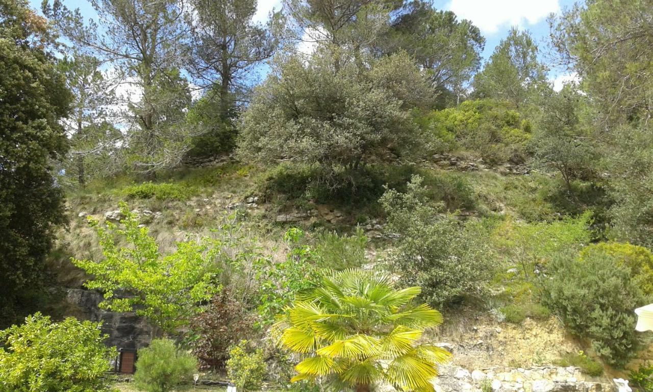 Gite Sud de France-Carcassonne chez Léa Aragon Exterior foto